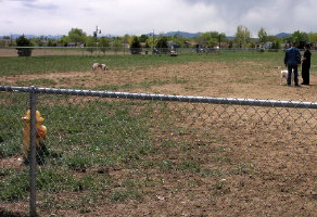 Broomfield County Commons Dog Park