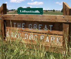 Lafayette Bark Park Dog Park