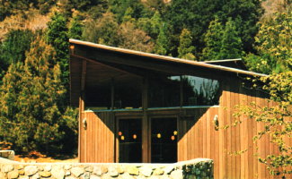 Pilgrim Pines