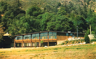 Pilgrim Pines