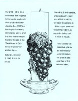 IBM flyer