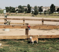 Westminster, Big Dry Creek Dog Park