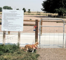 Commerce City, First Creek Dog Park