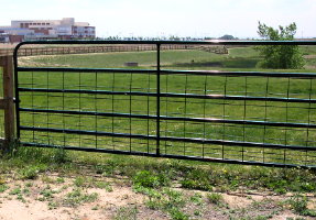 Brighton Happy Tails Dog Park