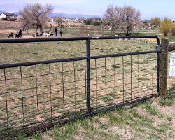 Highlands Ranch Hound Hill Dog Park