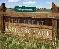 Lafayette Bark Park Dog Park