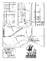 Statewide Festival Flyer 1987