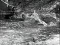 The River