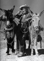 Harry and Burros
