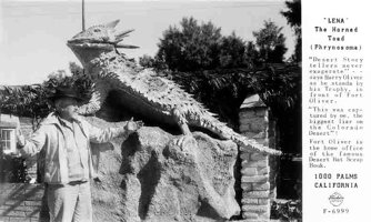 Lena the Horned Toad postcard