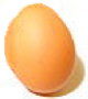 egg