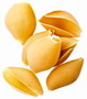 pasta shells